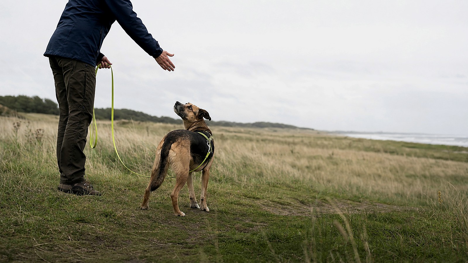 Éducateur canin accompagnant un chien et sa propriétaire sur un chemin naturel
